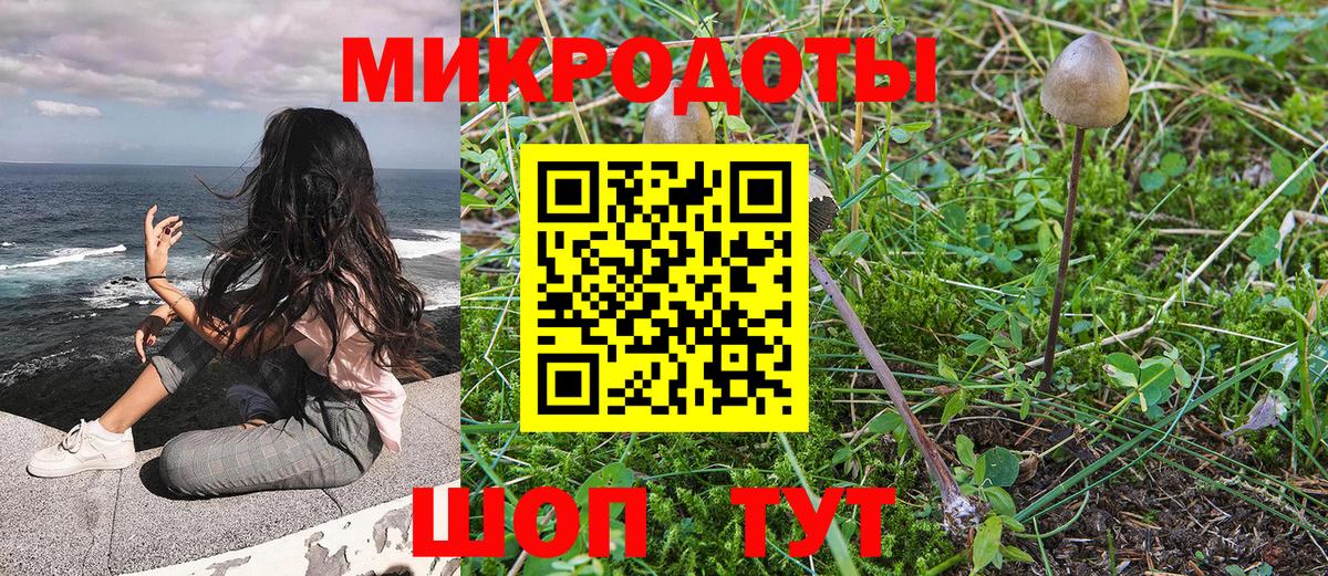 Псилоцибиновые грибы Magic Shrooms  Вход с VPN  Галлюциногенные грибы Magic Shrooms  Малгобек 