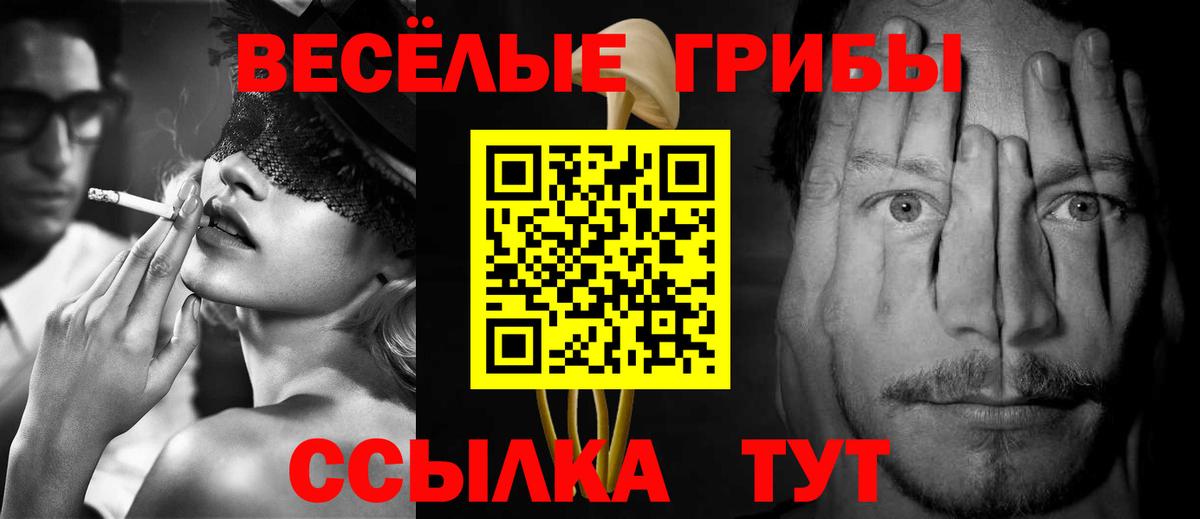Галлюциногенные грибы Cubensis Малгобек